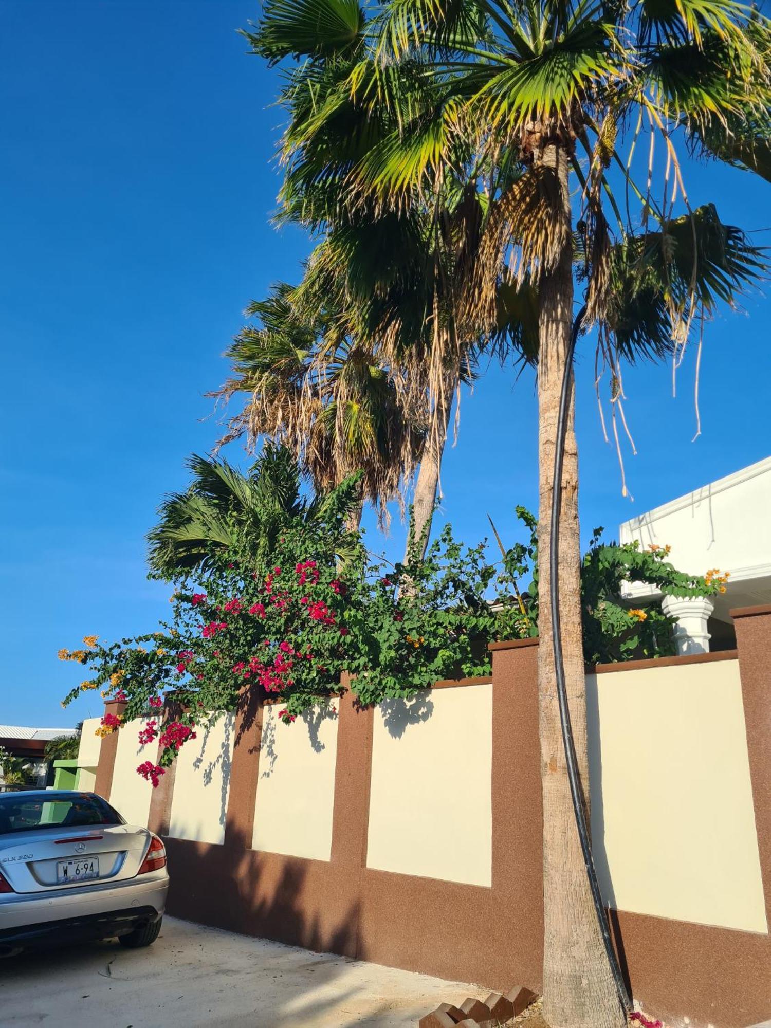 Rdr Apartments Santa Catharina Exterior foto